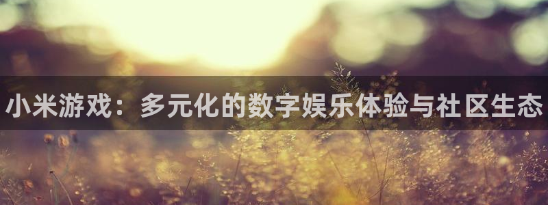 杜邦娱乐平台负责人：小米游戏：多元化的数字娱乐体验与社区生态