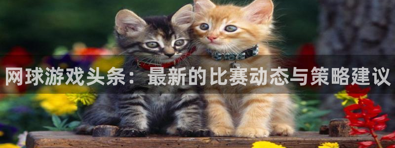 杜邦娱乐主管：网球游戏头条：最新的比赛动态与策略建议