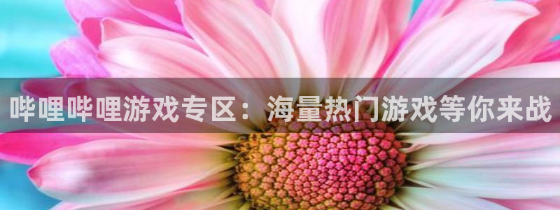 杜邦娱乐app下载地址：哔哩哔哩游戏专区：海量热门游戏等你来