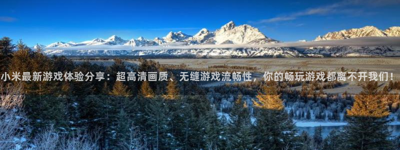 手机杜邦娱乐下载安装：小米最新游戏体验分享：超高清画质、无缝