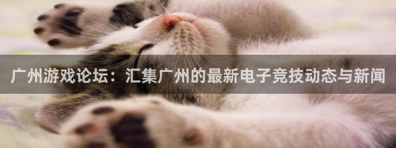 杜邦娱乐网页版地址：广州游戏论坛：汇集广州的最新电子竞技动态
