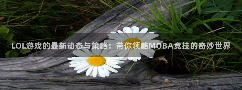 杜邦娱乐登录网址：LOL游戏的最新动态与策略：带你领略MOB
